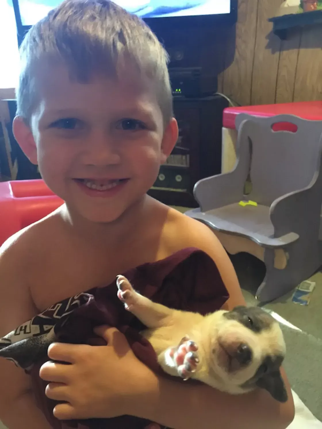 6-year-old boy has tear-jerking reunion with missing dog