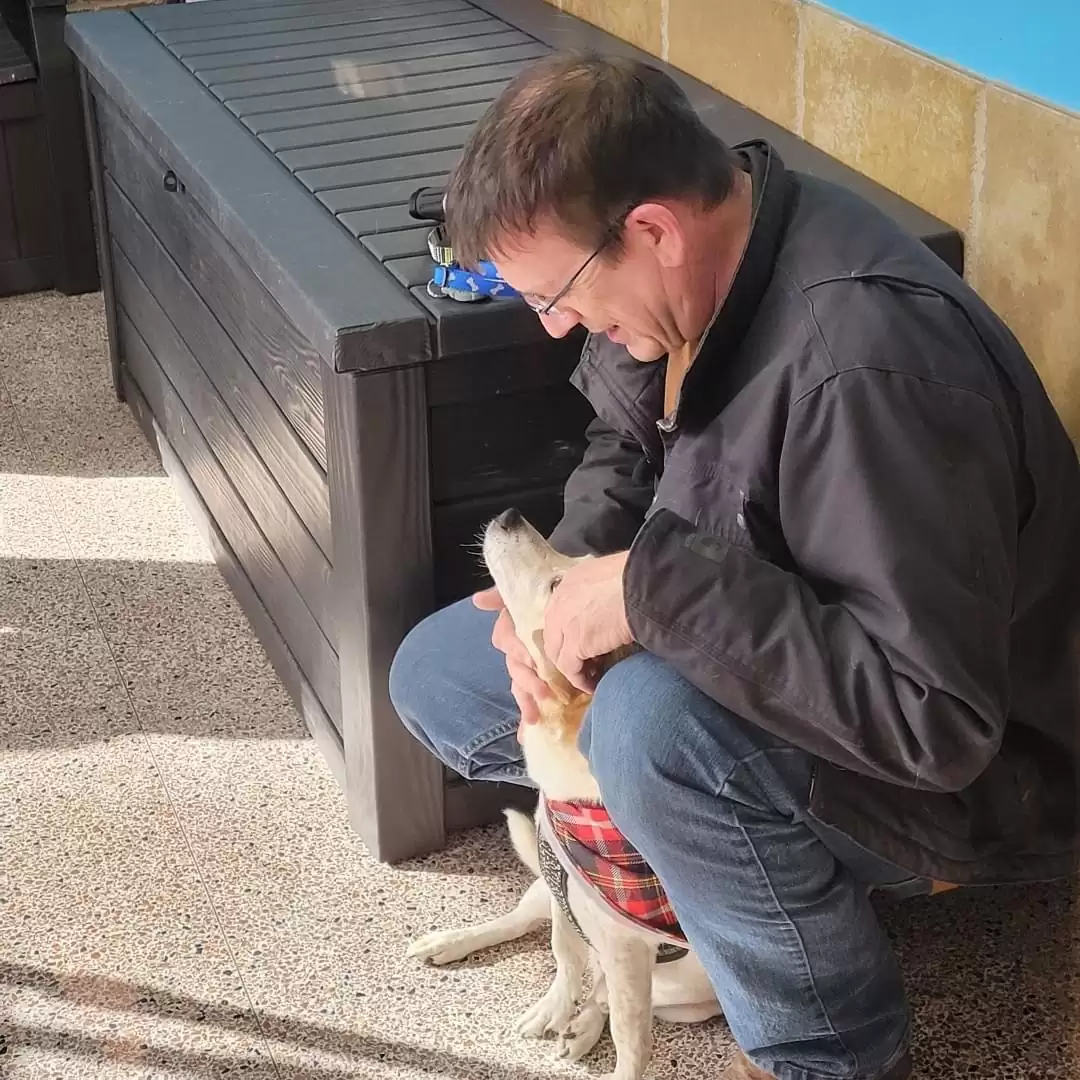 Dog Missing For 6 Years Can’t Stop Wagging His Tail When He Sees His Dad Again